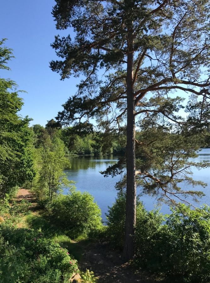 Stenhälla Bed&Breakfast Holmsjö Exteriör bild